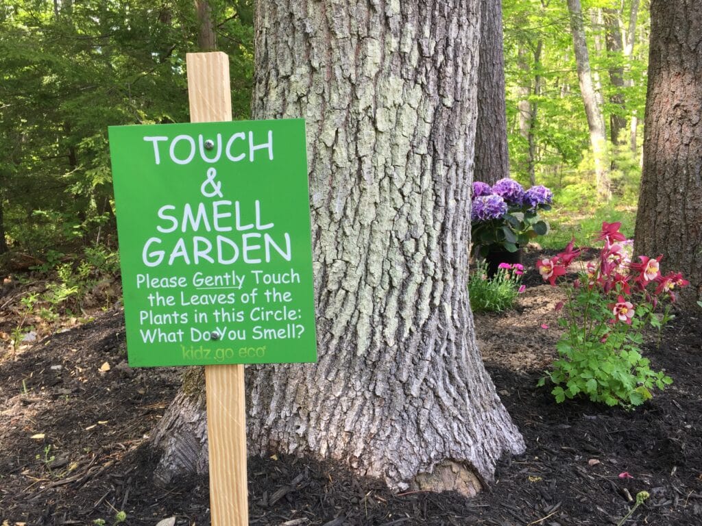 Our Touch and Smell Garden scaled